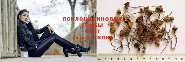 трава Магас
