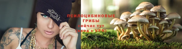 метадон Лиски