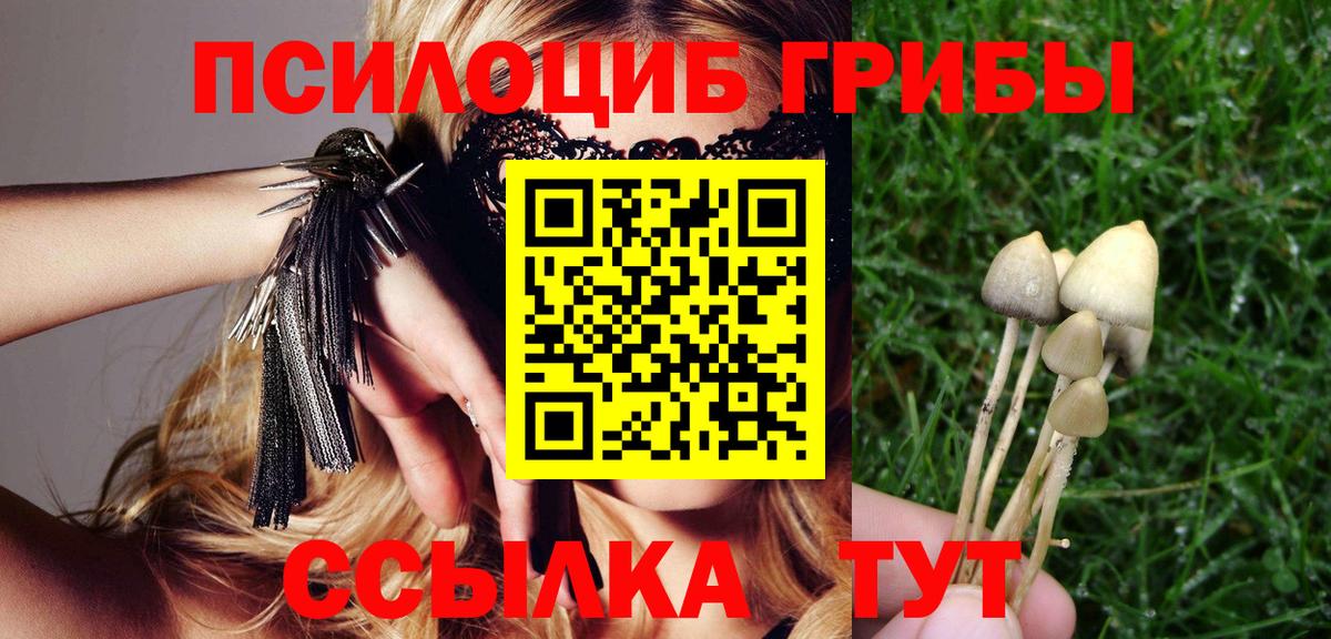 Малгобек  Галлюциногенные грибы мухоморы  Вход с VPN 